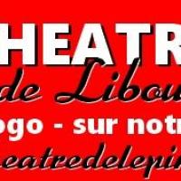 SOUTENEZ AVEC VOTRE DON LE THEATRE DE L'EPINETTE