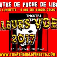 Theatre de l epinette meilleurs voeux 2017